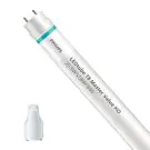 Philips LED Röhre T8 MASTER Value (EM/Mains) High Output 20.5W 3100lm - 840 Kaltweiß | 150cm - Ersatz für 58W