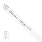Ledvance LED Röhre T8 Value (EM/Mains) Standard Output 11.6W 1400lm - 865 Tageslichtweiß | 105cm - Ersatz für 38W